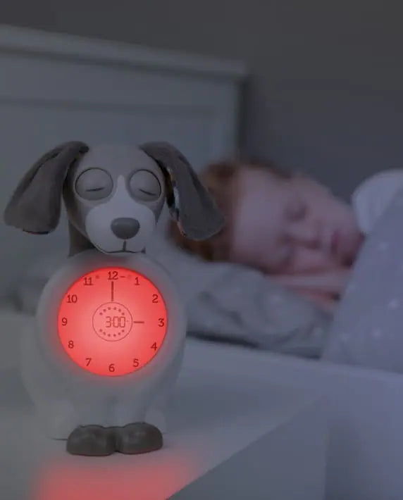 Zazu Sleeptrainer Davy