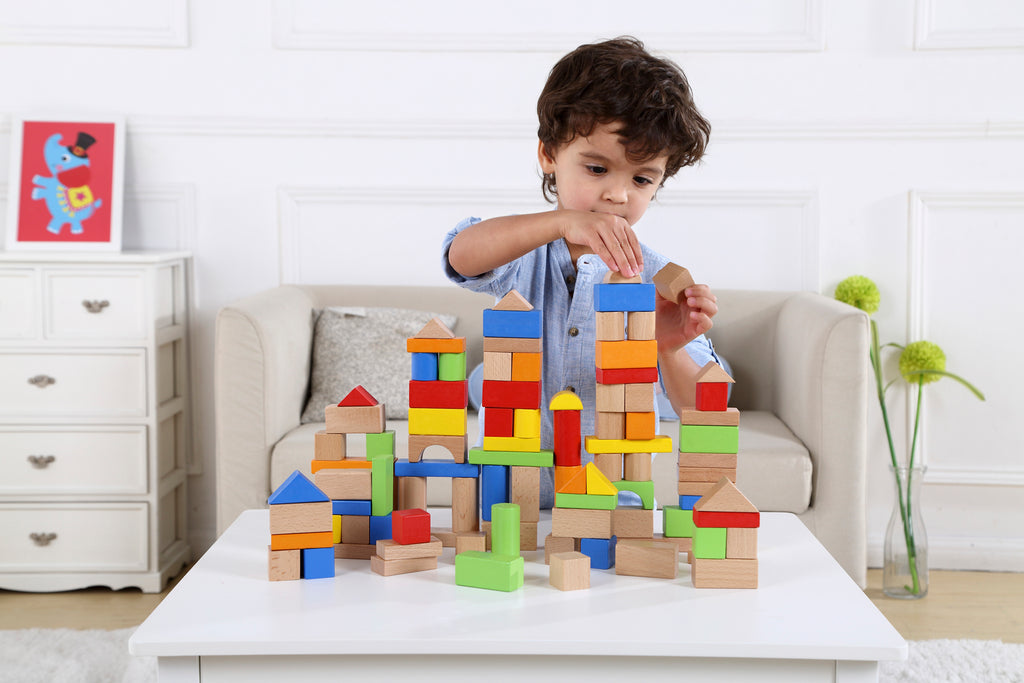 Tooky - 100 Pieces Wooden Block