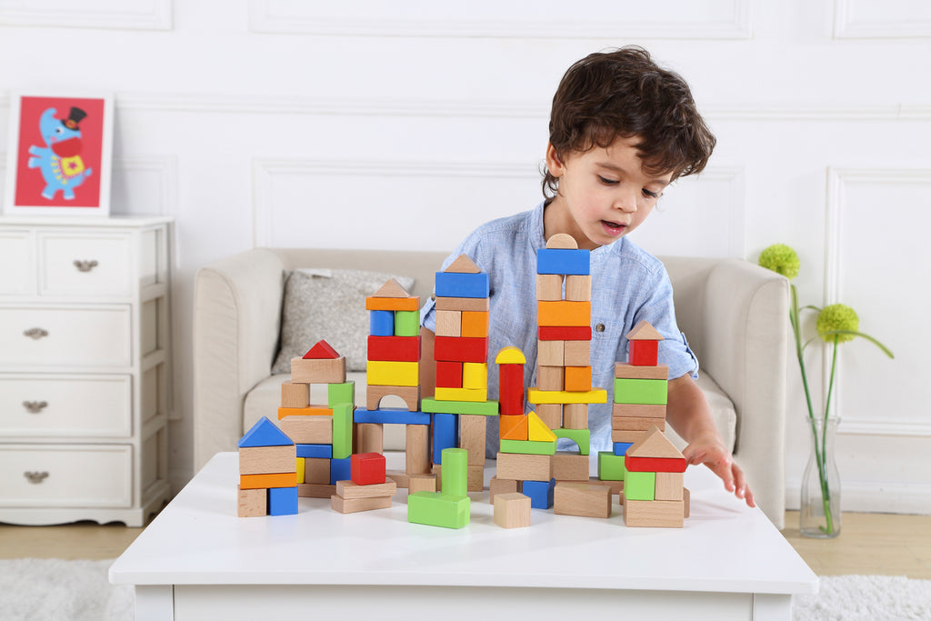 Tooky - 100 Pieces Wooden Block